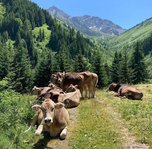 Appartamento Gaia Im Bergdorf