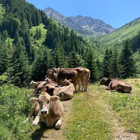 Daire Gaia Im Bergdorf